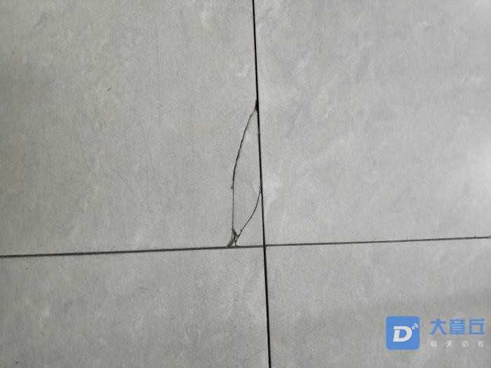 d8.jpg