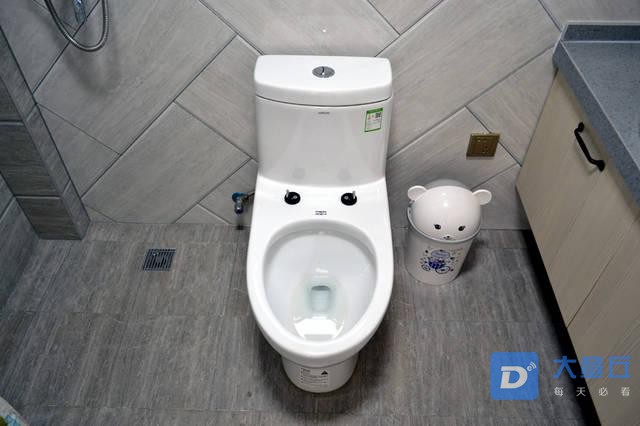 d13.jpg